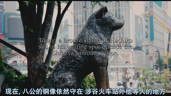 忠犬八公的故事(2009)